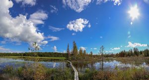 Naturreservat Jämtland