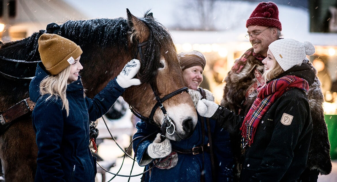 Julen i Östersund - samling runt häst på Jamtli